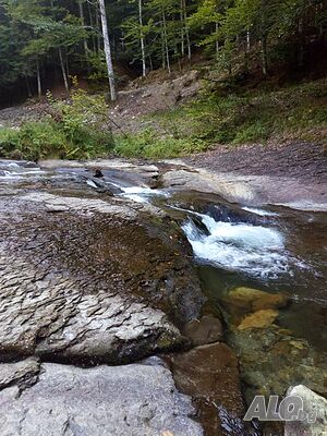 image_34