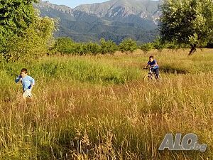 image_35