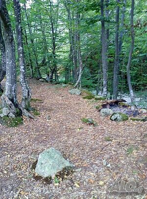 image_37