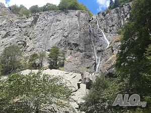 image_39