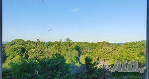 image_14
