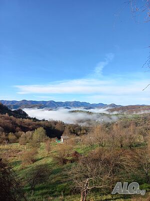 image_24