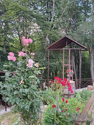 image_25