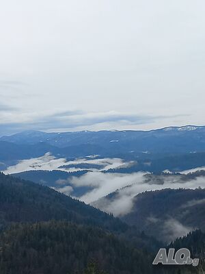 image_35