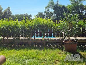 image_25