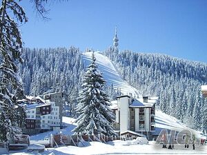image_41