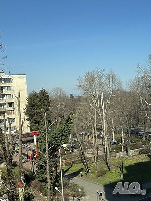 image_17