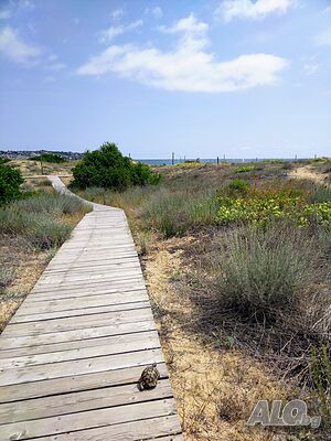 image_23