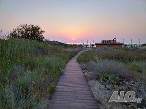 image_29
