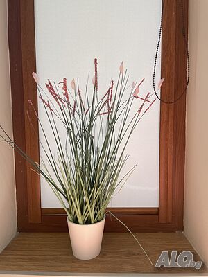 image_12