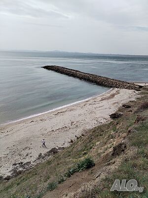 image_15
