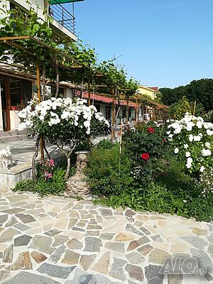 image_21