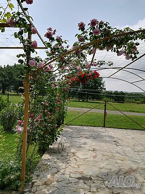 image_22