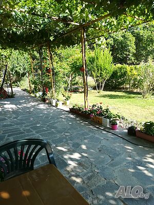 image_27