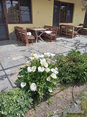 image_16