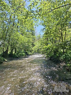 image_13
