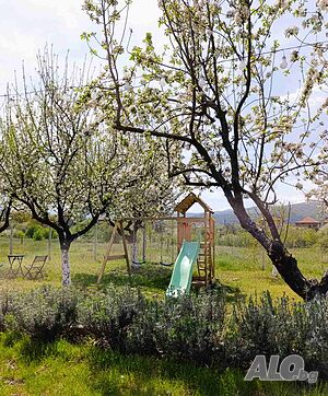 image_17