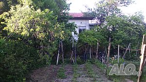 Легло в стая Никея парк, Златни пясъци, Ален Мак, 10 и 15 евро легло