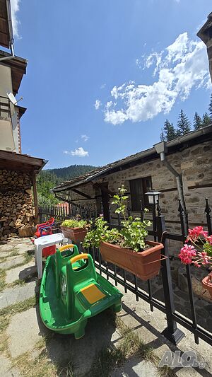 image_7