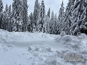 image_7