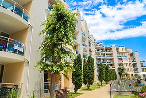 image_42