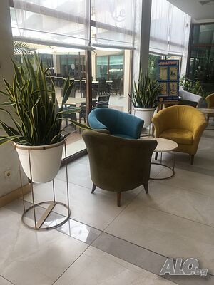 image_8
