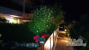 image_18