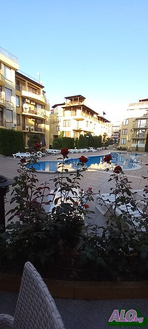 image_19