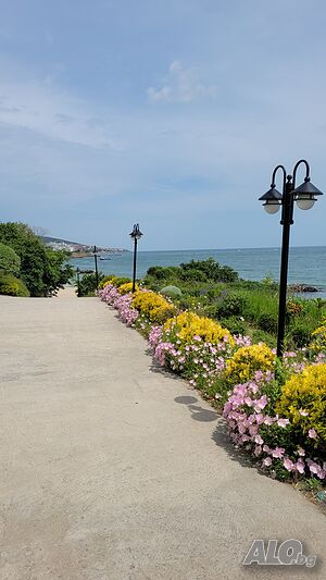 image_9
