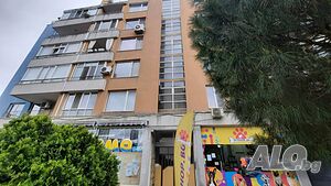 image_11