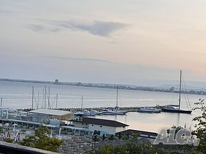 image_19