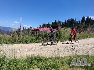 image_6