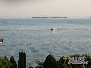 image_31