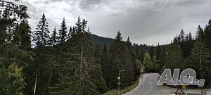 image_38