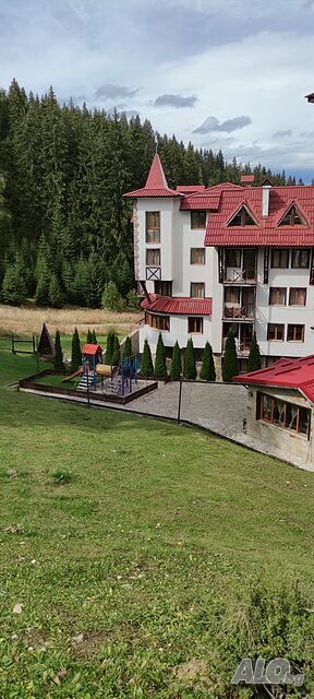 image_33