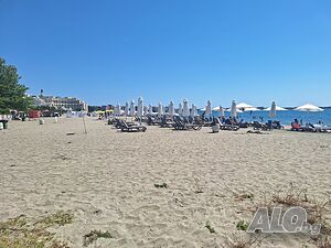 image_15