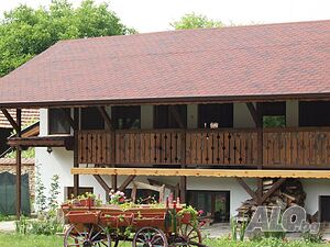 image_7