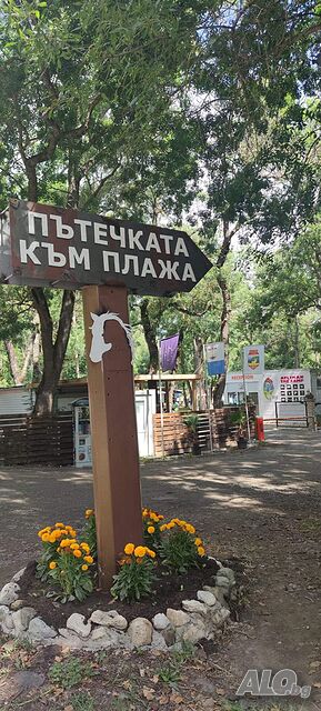 image_16