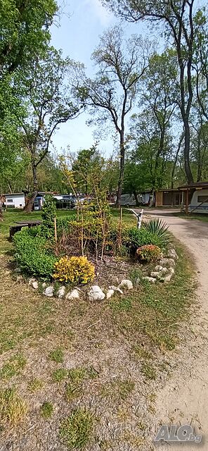 image_18