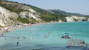 image_14