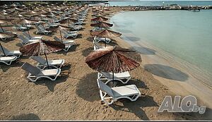 image_12