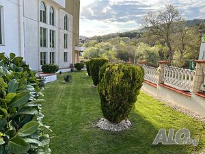 image_29