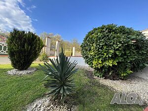 image_13
