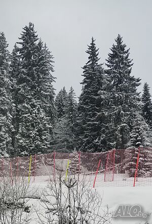 image_13