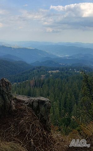 image_21