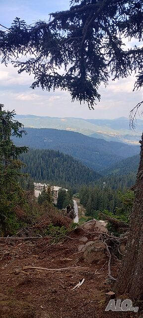 image_25