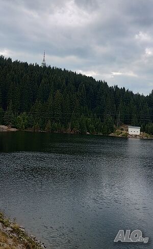 image_26