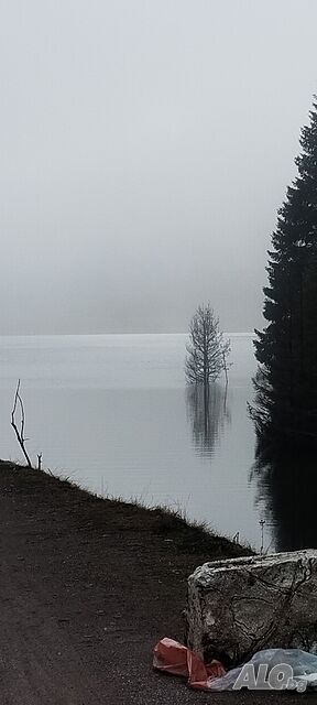 image_24