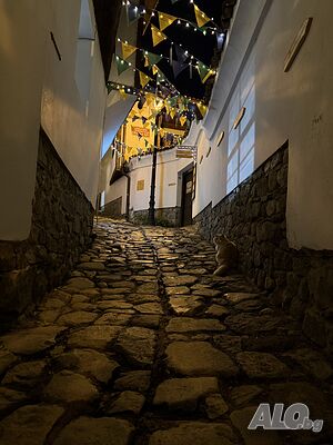 image_8