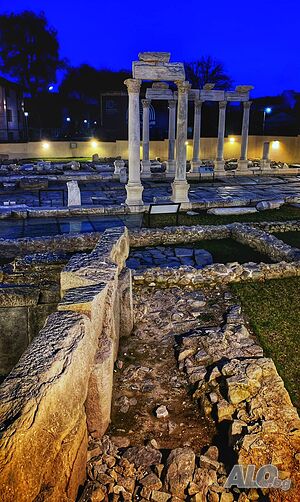 image_11